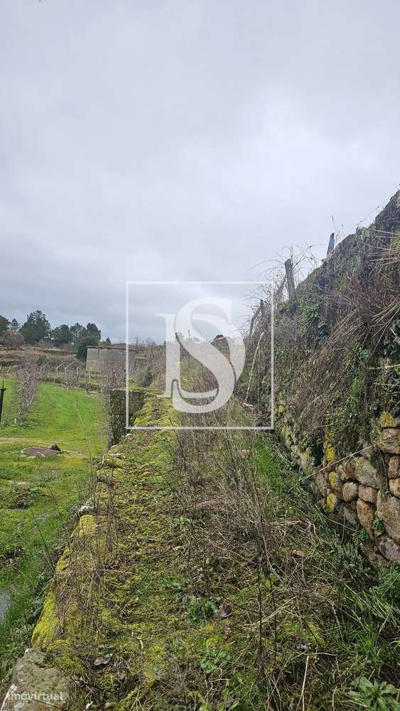 Terrenos Rústicos – Aricera e Goujoim, Armamar (Viseu)-6