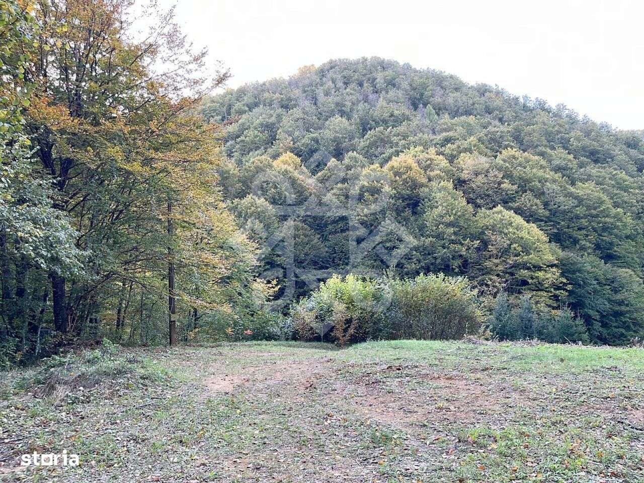 Teren pentru casa de vacanta pe Valea Bratcutei, Bihor - Imagine principală: 2/13