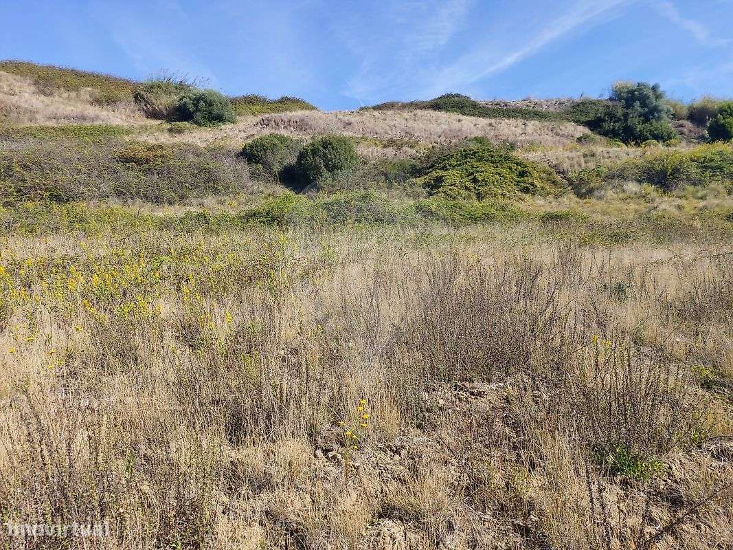 Terreno  para venda - Grande imagem: 4/5