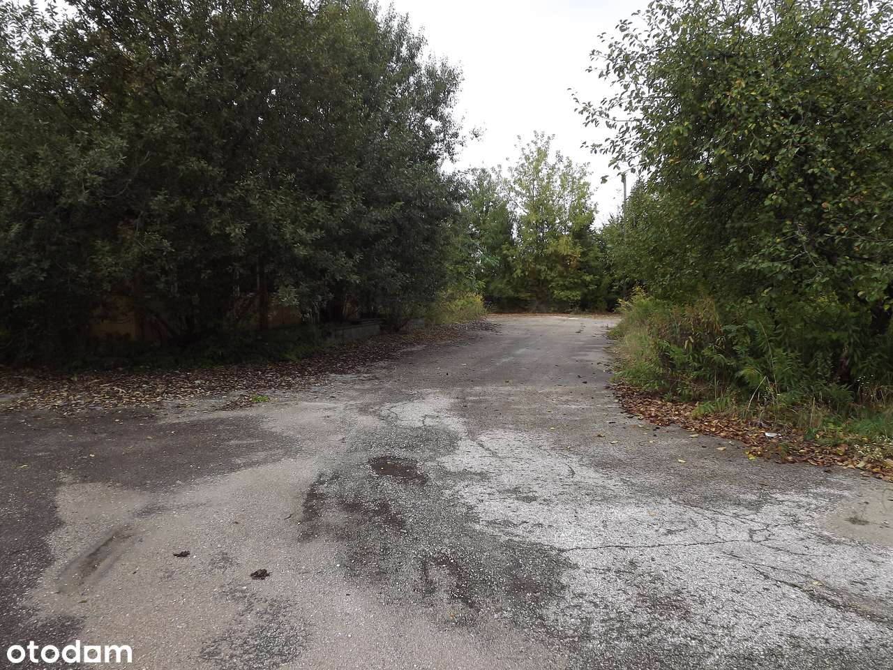 Nieruchomość zabudowana w Zawadzie - Pełny obrazek: 5/20