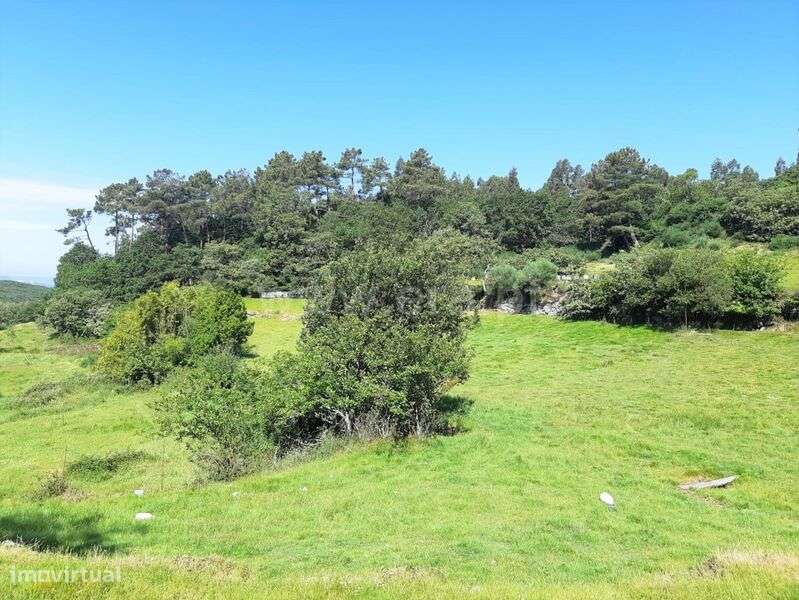 Terreno / Baião, Campelo e Ovil - Grande imagem: 2/13