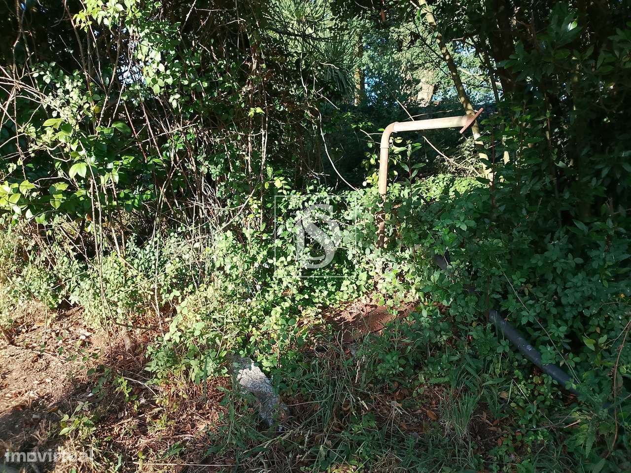 Terreno em Meixomil-5