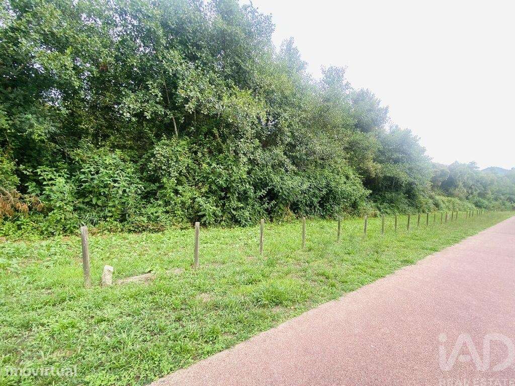 Terreno Agrícola em Loivo de 2850,00 m2 - Grande imagem: 5/13