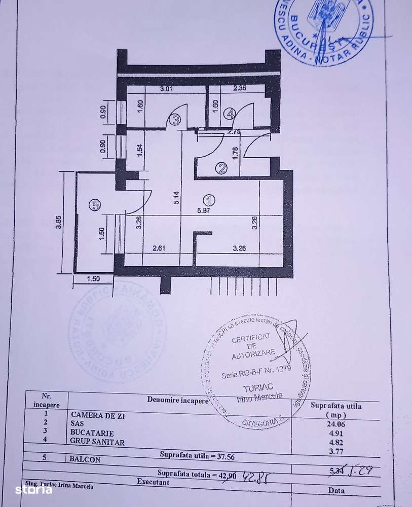 Cartier Brancusi ANL Coloana infinitului-14