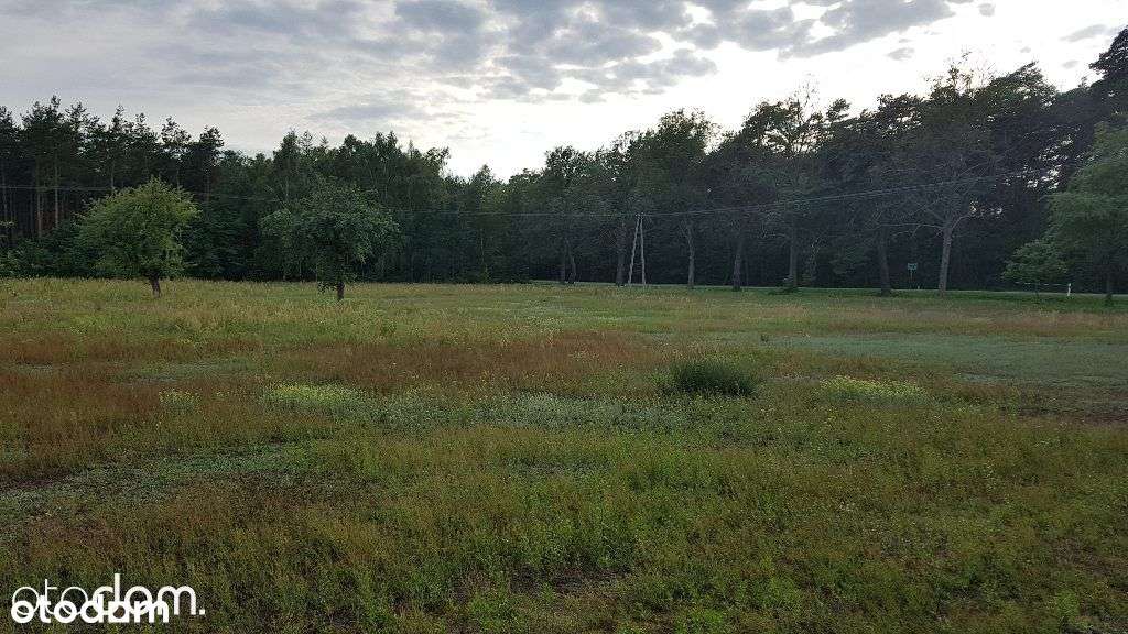 Działka budowlana Dreglin 6711m2-5