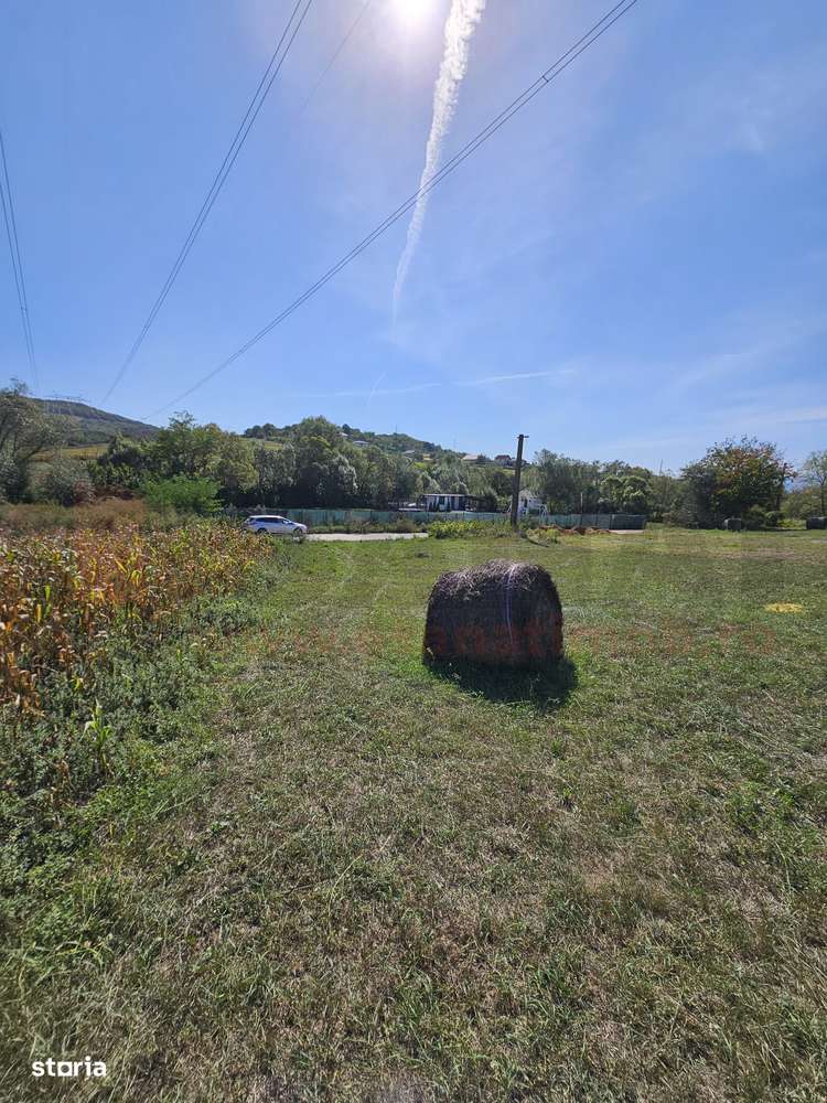 OCAZIE: Teren 2200mp, Gusterita, Asfalt, Deschidere 2străzi |Sky-VIDEO-9