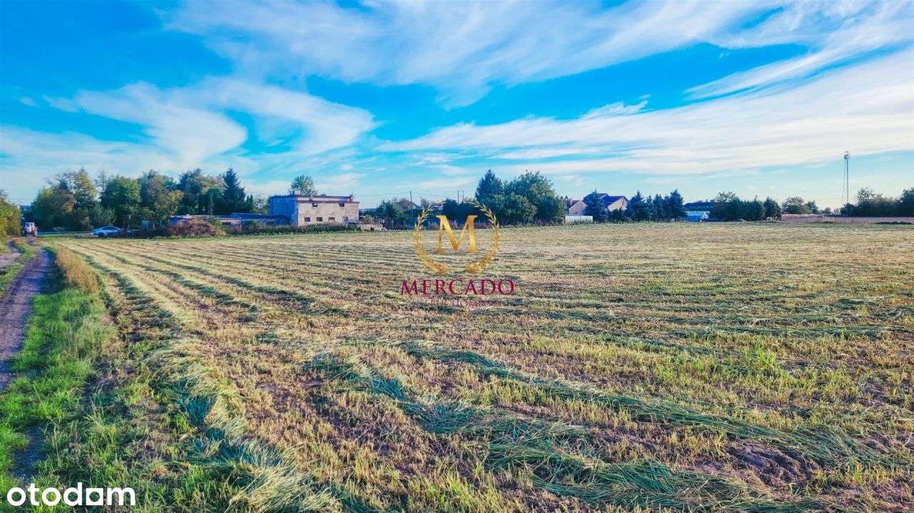 Działka inwestycyjna Wieniec 1,1163 ha, 63zł/m2 - Pełny obrazek: 5/9