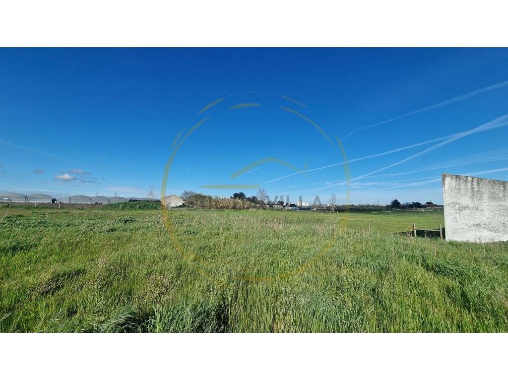 Terreno Sarilhos Grandes - Montijo - 159.900€-4