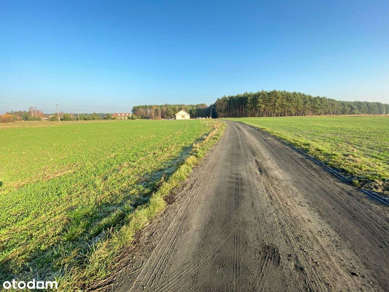 Działka pow. 2674 m2, Sulęcin - Pełny obrazek: 5/5