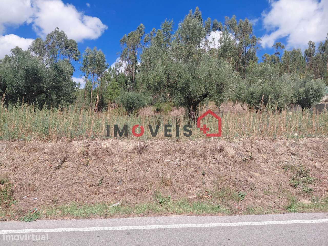 TERRENO COM POTENCIAL PARA VÁRIAS MORADIAS!!! - Vista 5