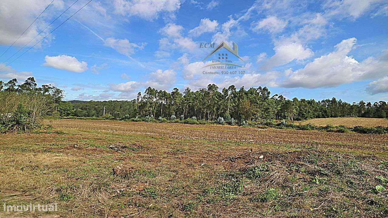 Terreno 20.000m/2 Macieira da Maia-22