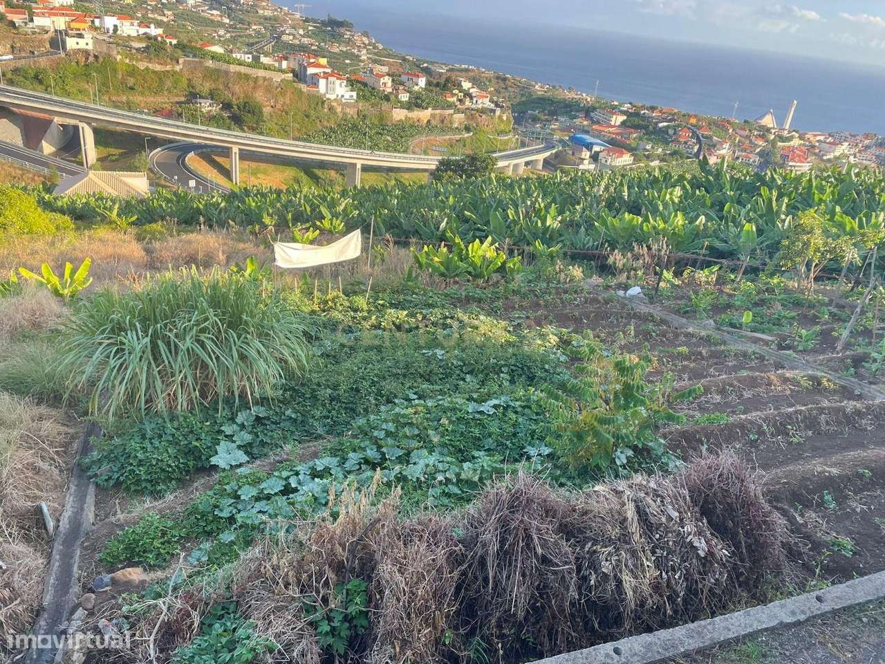 Terreno para construção, Câmara de Lobos, Ilha da Madeira - Grande imagem: 4/5