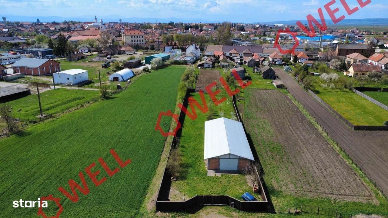 Hală industrială de vânzare în Târgu Secuiesc, pe strada Kanta! - Imagine principală: 4/10