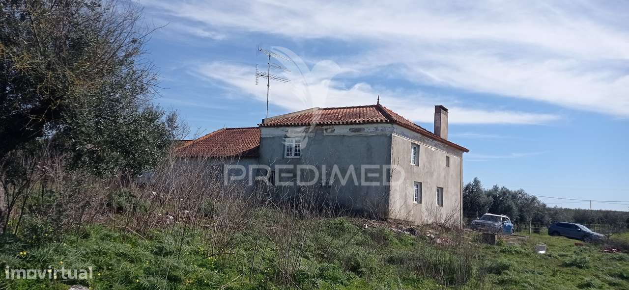 Monte Alentejano com 13.250 m2, Casa Branca, Sousel - Grande imagem: 3/22