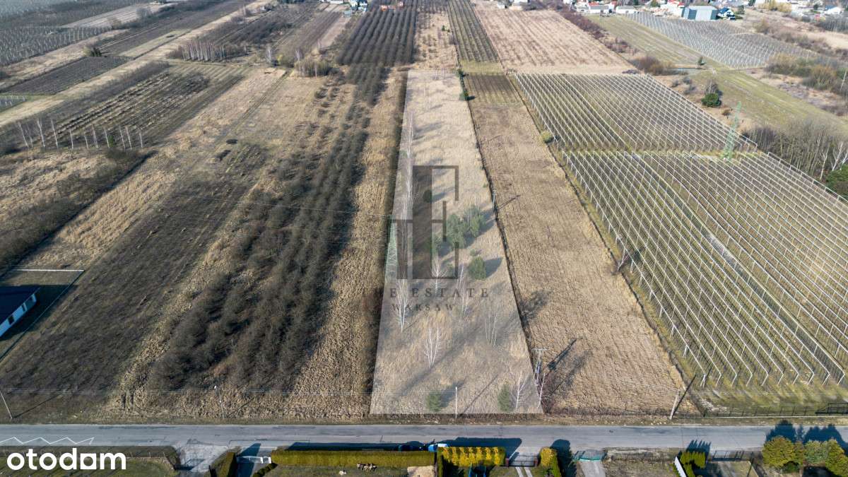 Działka rolna w Warce | brak Mpzp - Pełny obrazek: 1/10