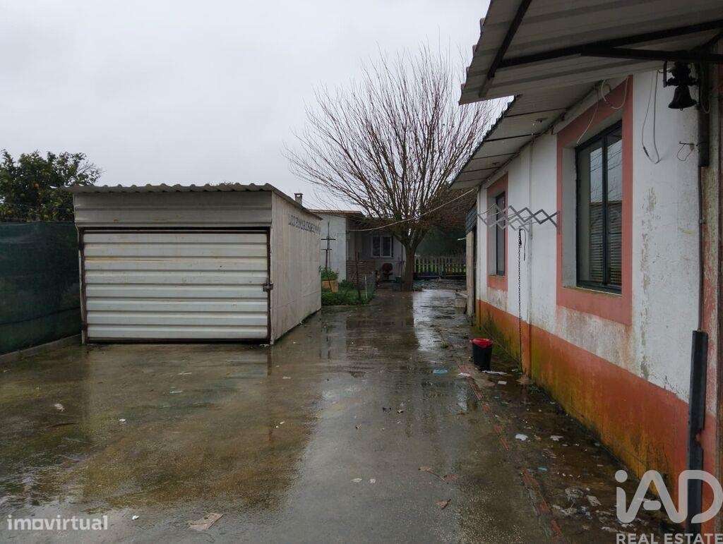 Terreno Agrícola em Almeirim - Grande imagem: 4/17