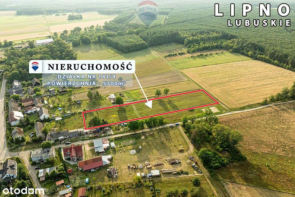 Na sprzedaż działka rolna z warunkami zabudowy - Pełny obrazek: 1/12