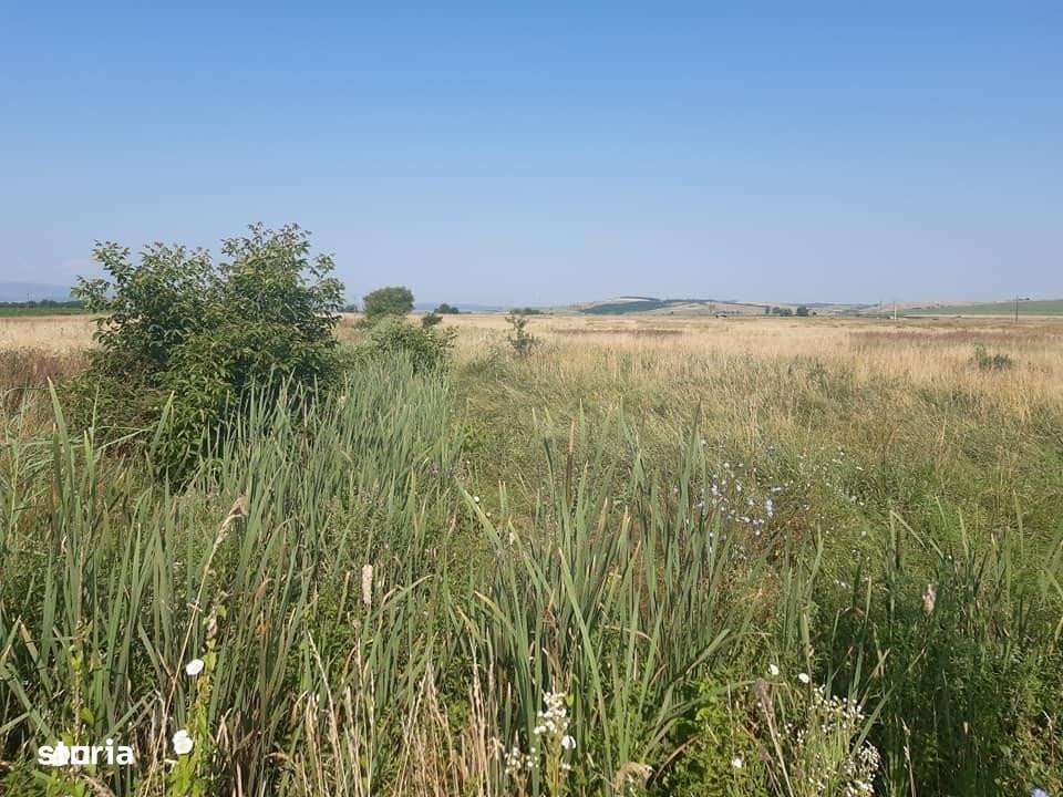 Teren Intravilan DN 14 intre Sibiu si Sura Mare la sosea - Imagine principală: 5/5