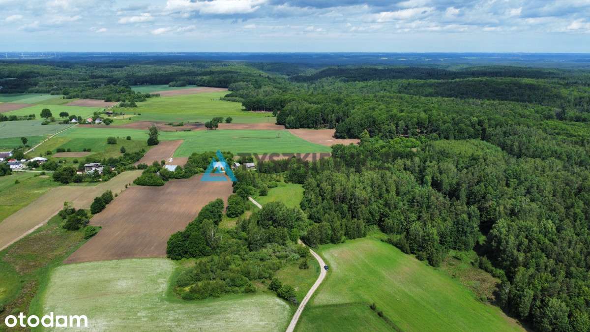 Działki siedliskowe na Kaszubach - Pełny obrazek: 5/17