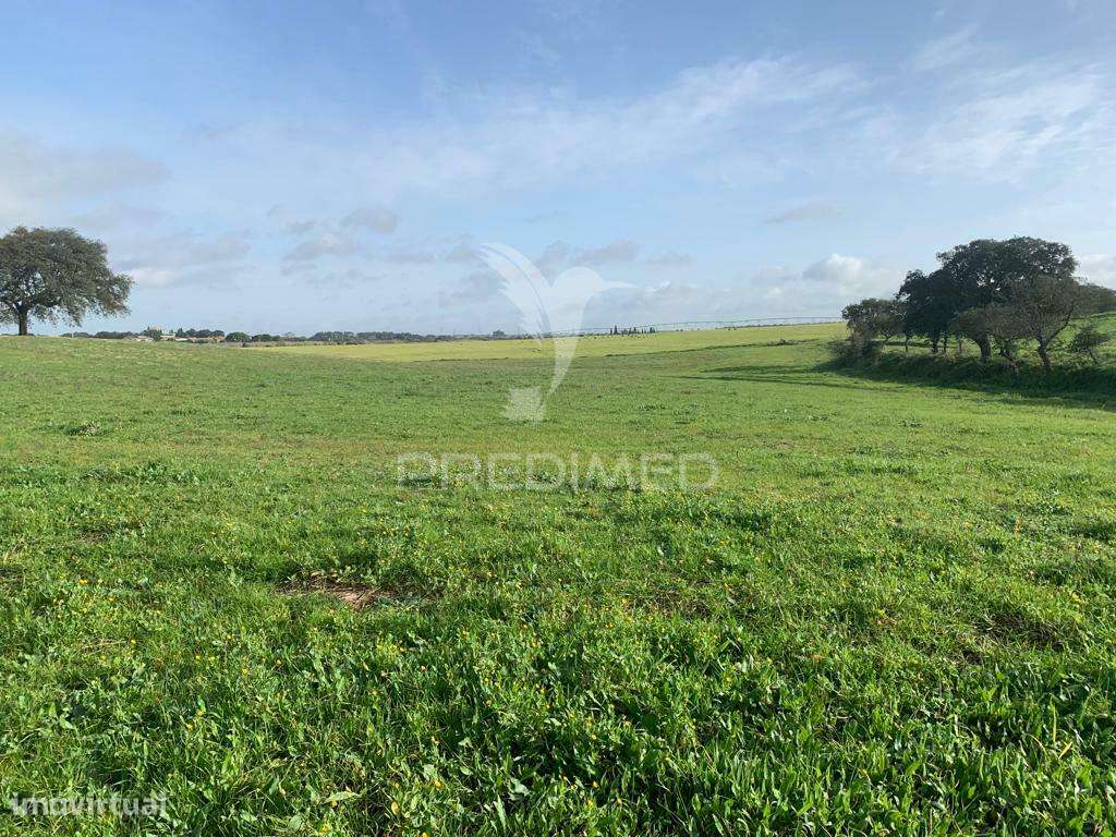 HERDADE  27 HECTARES - Grande imagem: 3/15