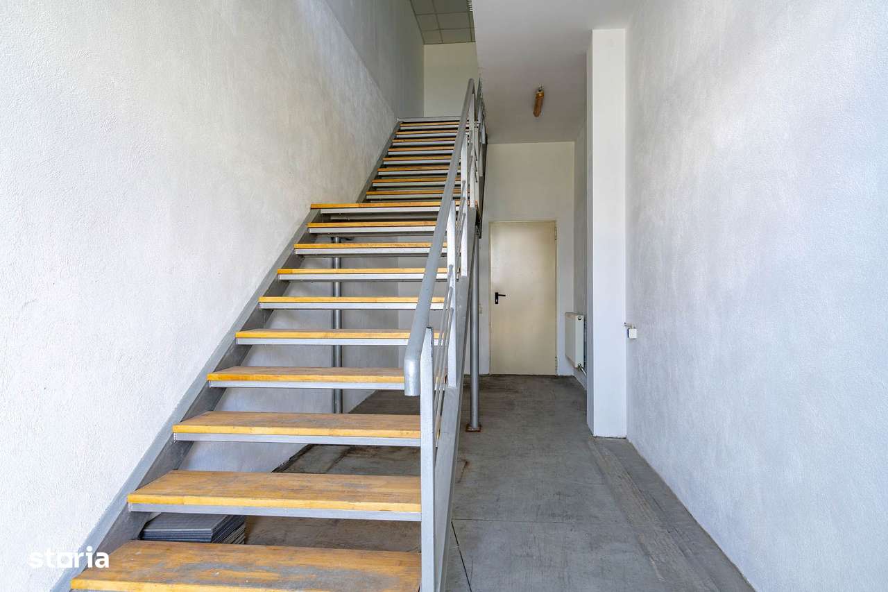 Hala Rasnov - Imagine principală: 5/9