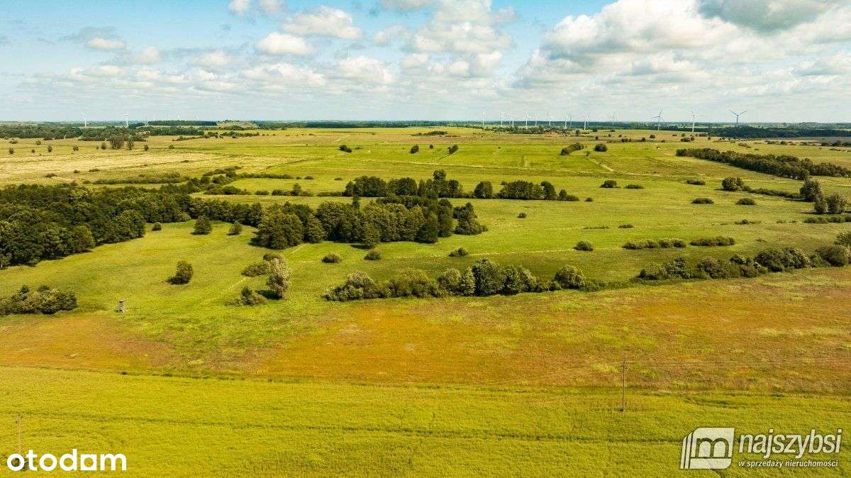 Ninikowo - działki budowlane - Wz w trakcie! - Pełny obrazek: 5/9