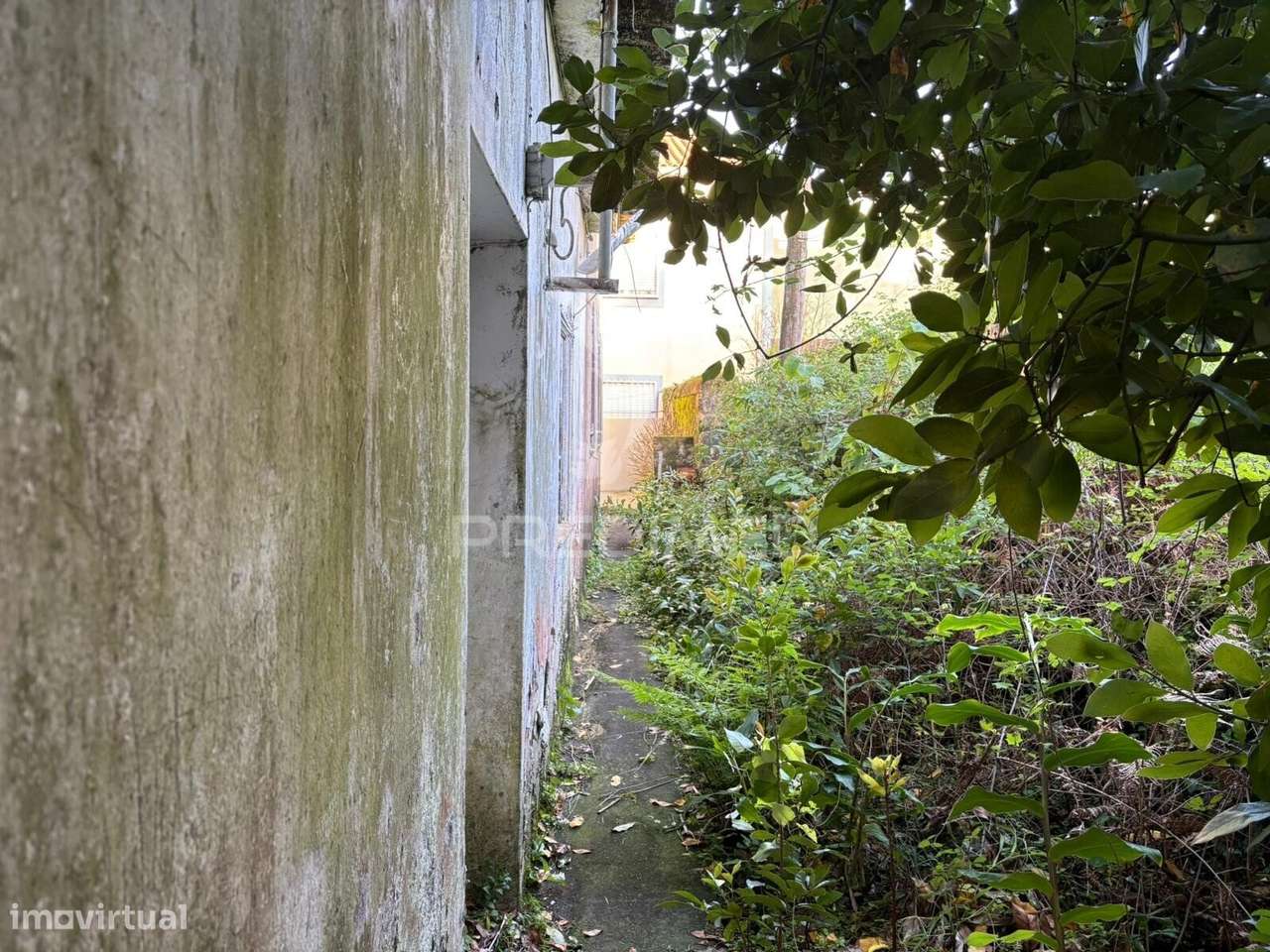 Moradia para Recuperar – São Bento | 73 m² - Grande imagem: 3/10