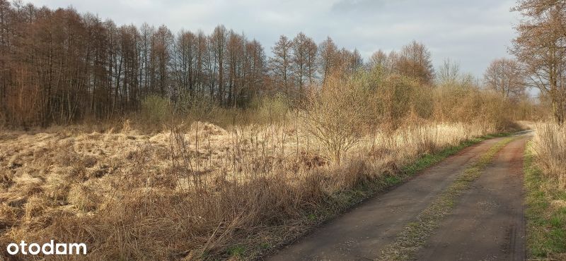 Działki rolne Krępa - Zielona Góra