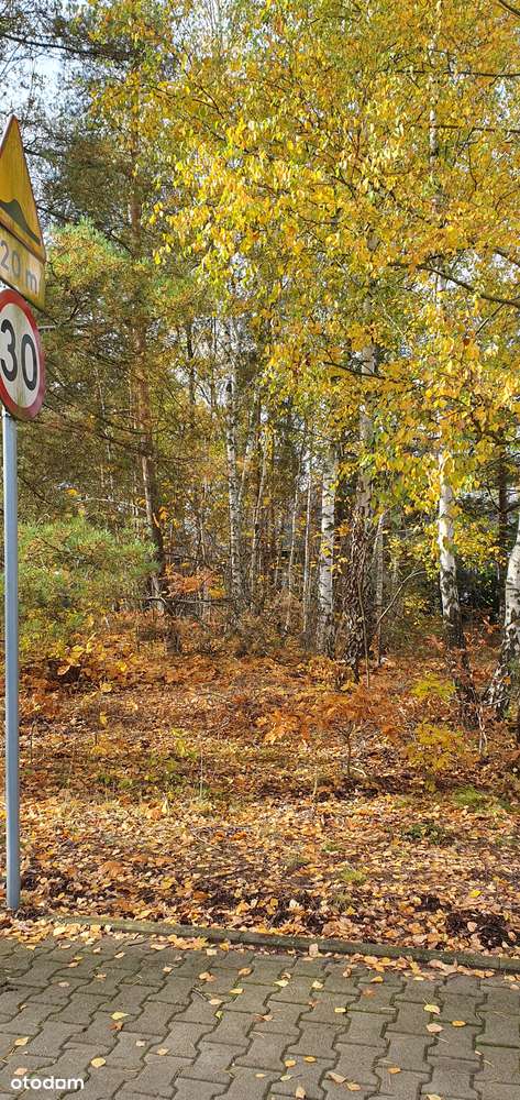 Działka narożna w spokojnej okolicy. Blisko szkoły, przedszkola i lasu - Pełny obrazek: 2/9