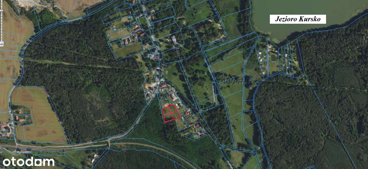 NIŻSZA CENA ! Działki z WZ, wokół jeziora i lasy - Pełny obrazek: 5/7