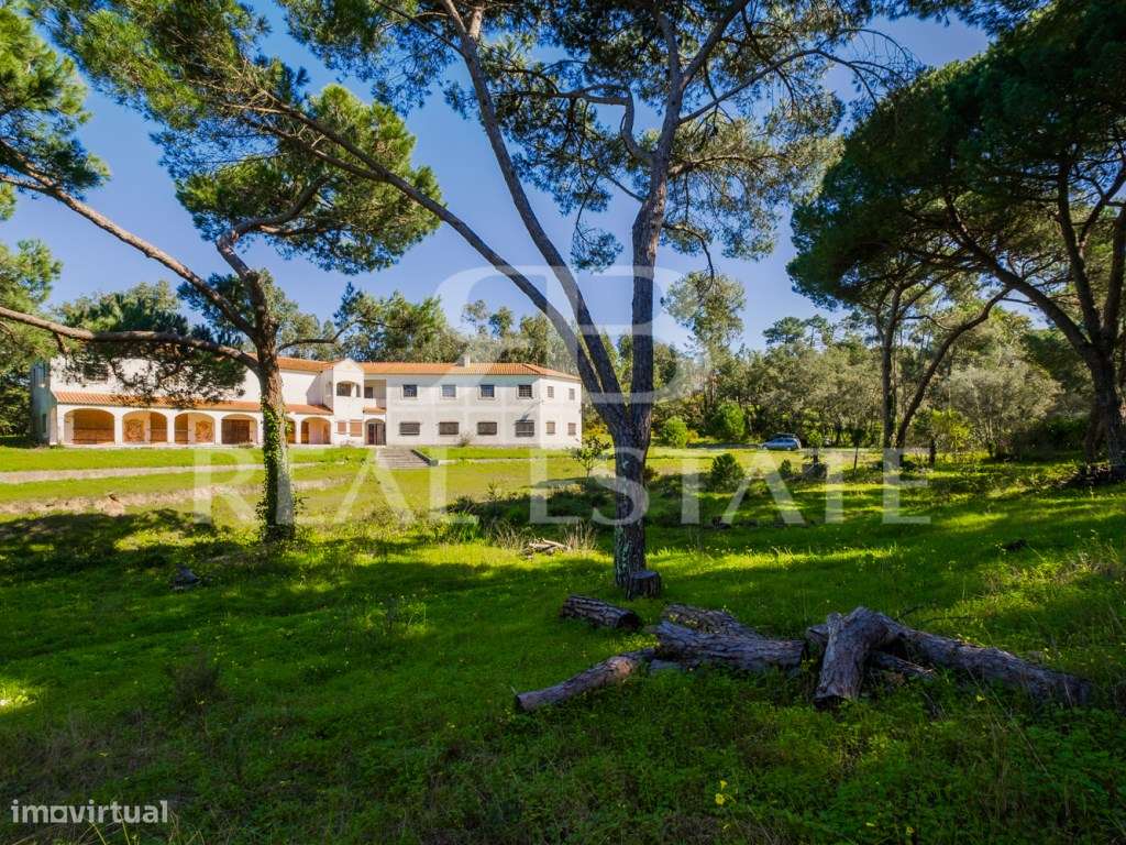 COUNTRY COTTAGE | Sesimbra-49