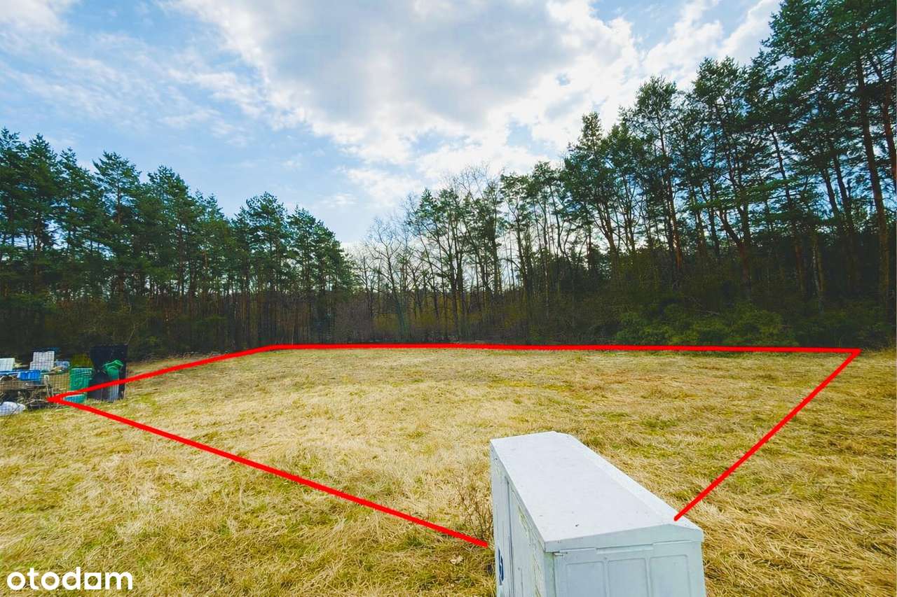 Kobylarnia | Działka 1234 m² | 2x ściana lasu, MPZP, 20 min Bydgoszcz