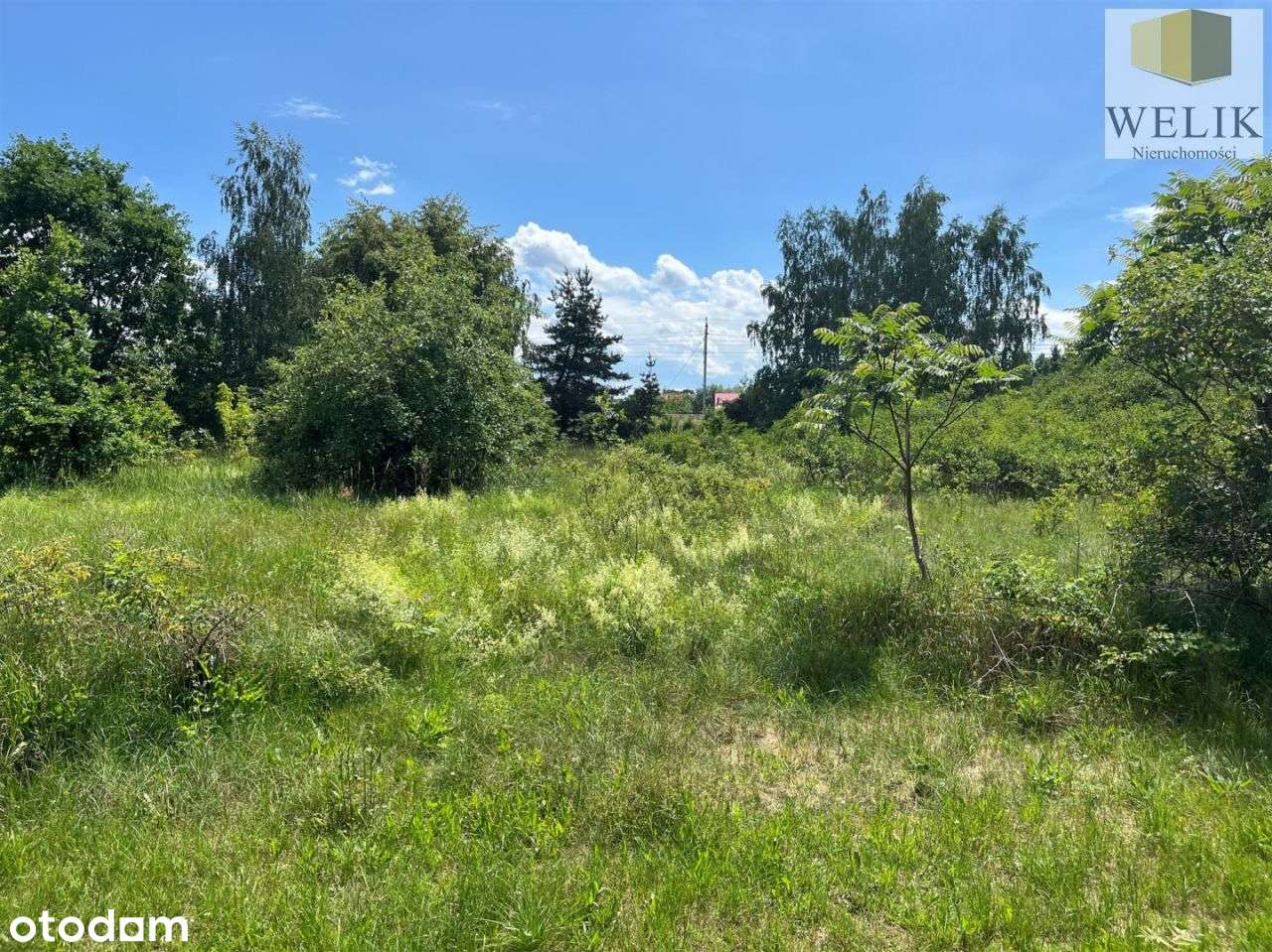 Działka komercyjna - Pełny obrazek: 4/7