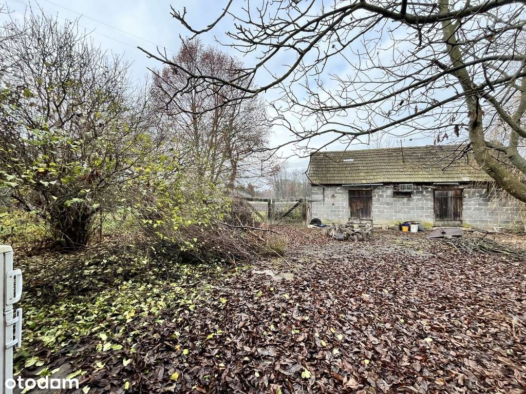 Działka z zabudowaniami w Hostynnem-Kolonii - Pełny obrazek: 5/13