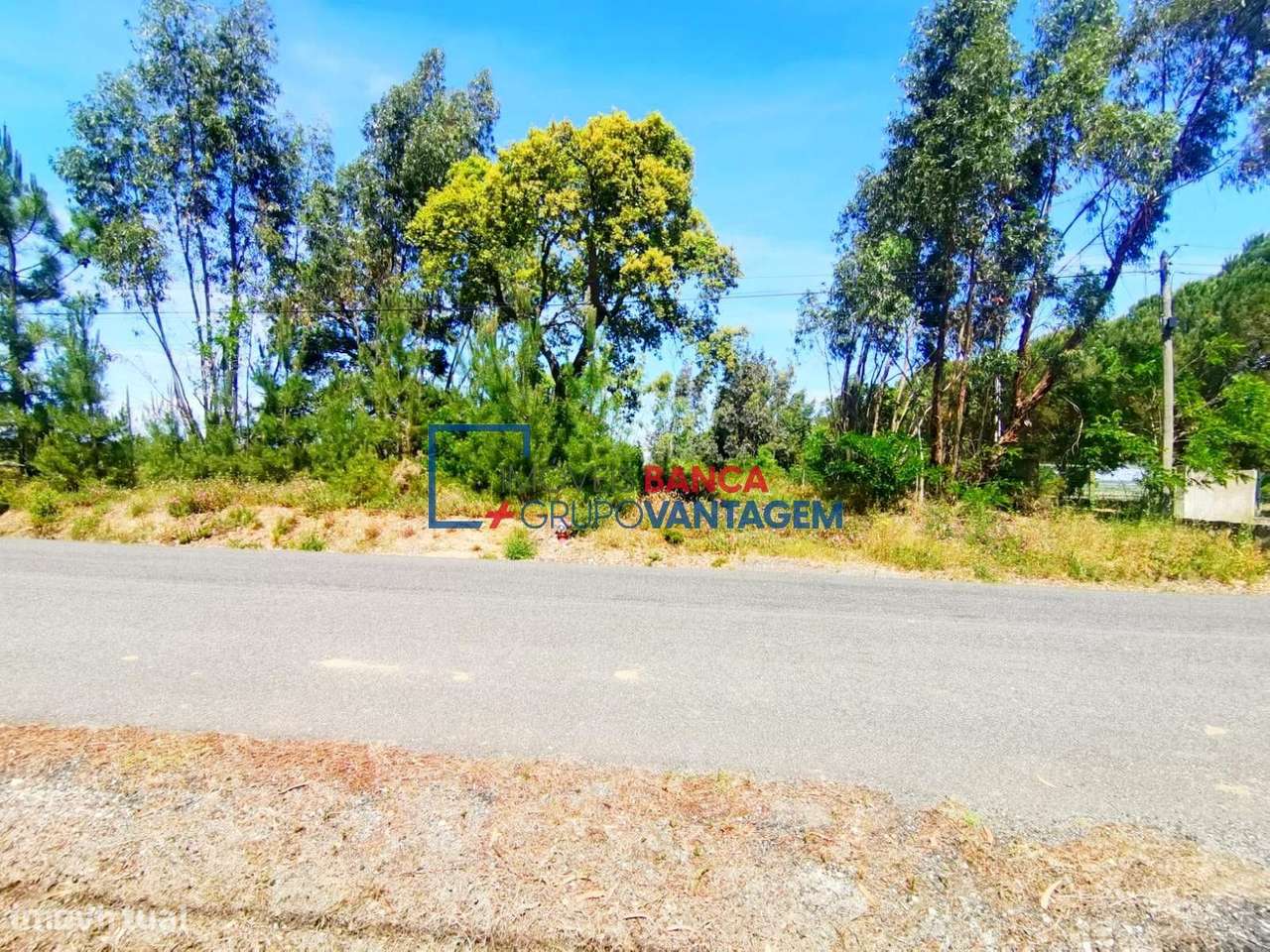 Terreno Rústico em Lapa - Grande imagem: 4/12