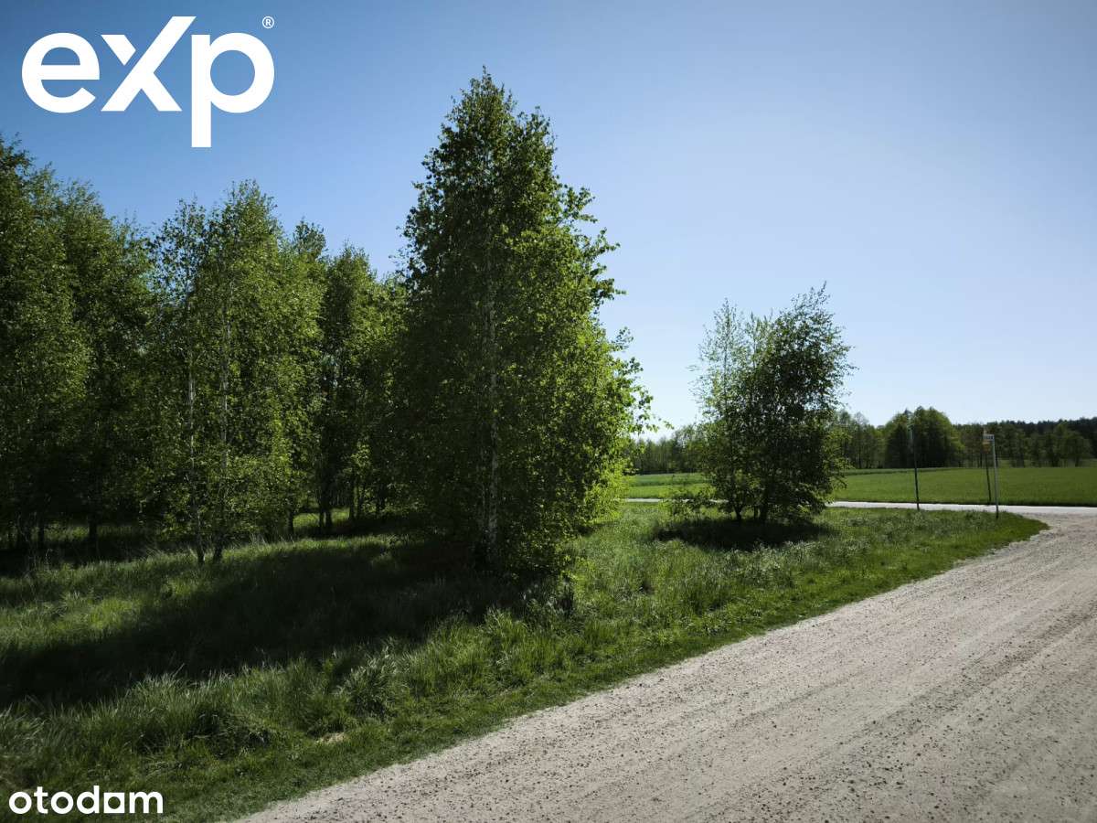 Działka inwestycyjna dla dewelopera - Pełny obrazek: 5/6