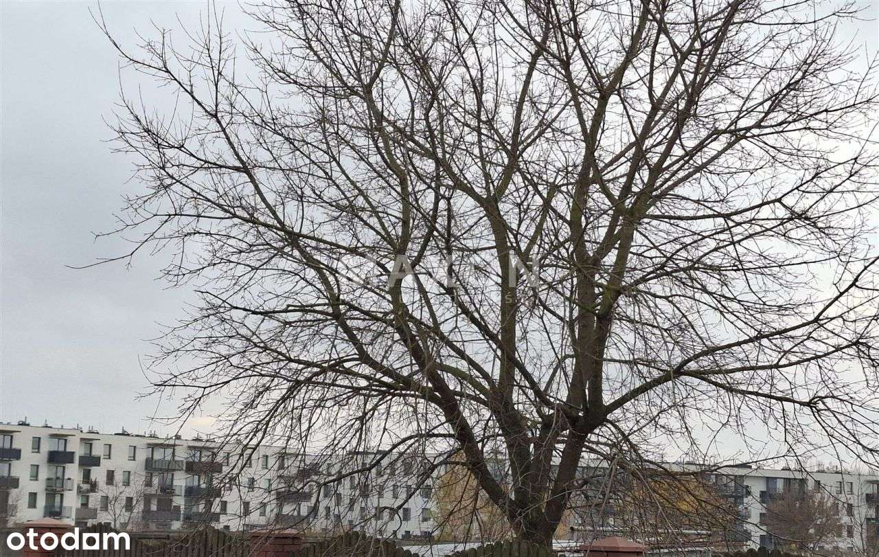 Julianów - 3 pokoje w spokojnej okolicy-7