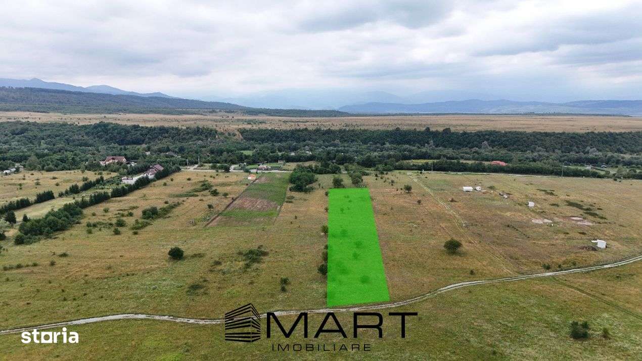 Teren intravilan 5000mp Valea Avrigului - Imagine principală: 5/7