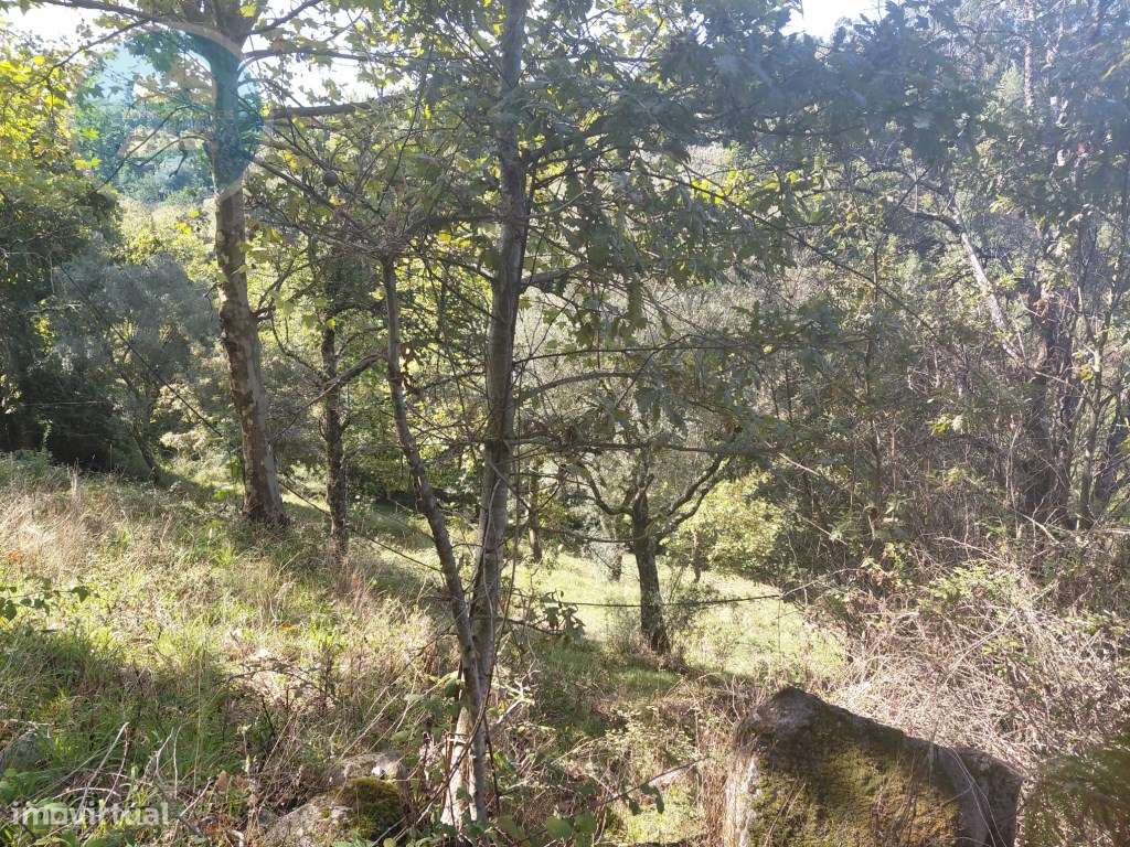 Casa Rústica em Pedra com Terreno para Restauro - Cambeses, Cabecei...-53