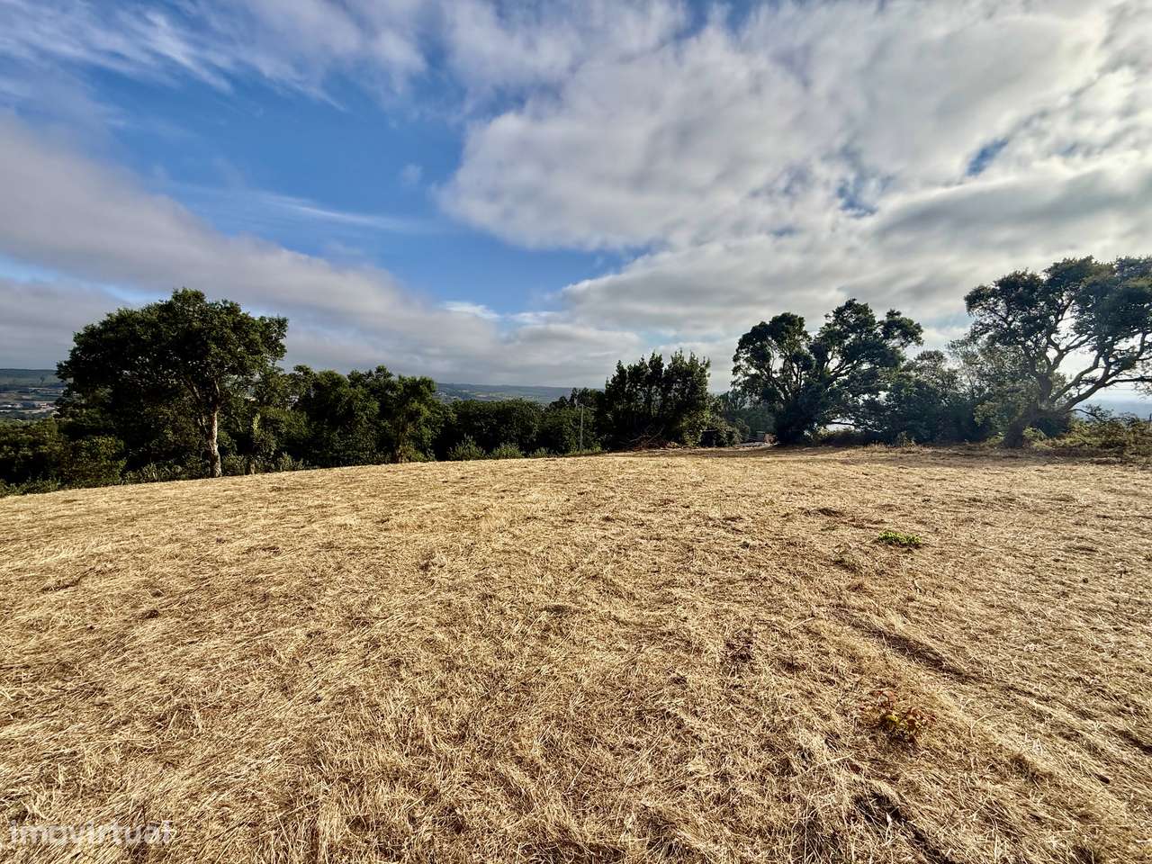 Terreno com vista panorâmica de campo - a 15 min São Martinho do Porto-3