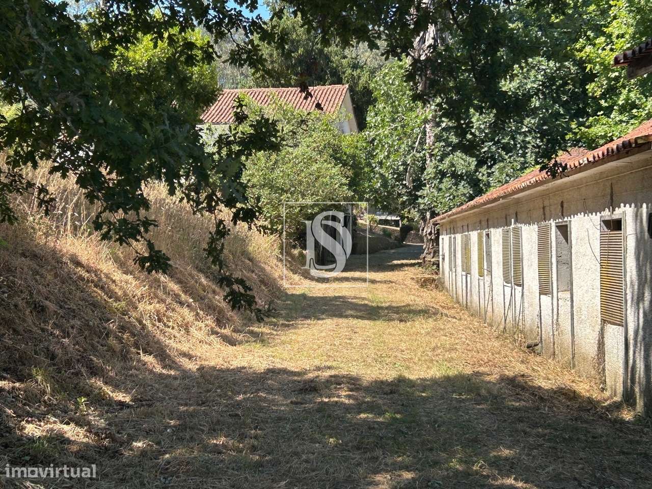 Quinta com 24.300m² em Vale de Açores, Mortágua-50