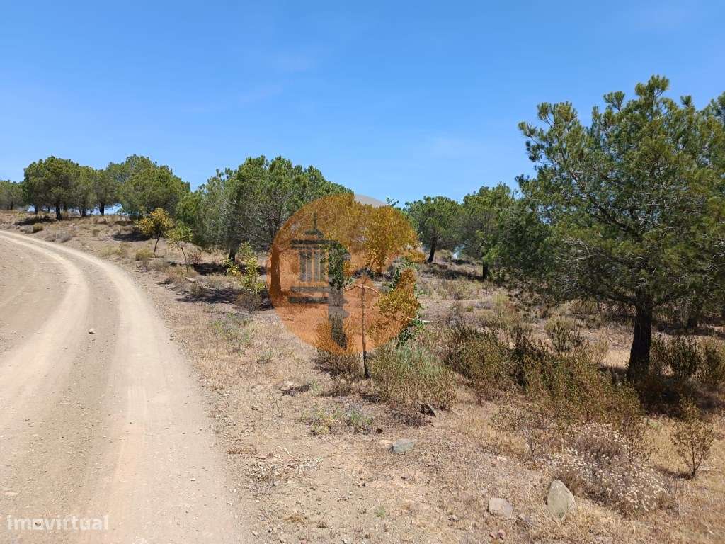TERRENO RUSTICO COM 12.200 M2 - AGUA E LUZ - PRÓXIMO A FOZ DE ODELE... - Grande imagem: 5/22