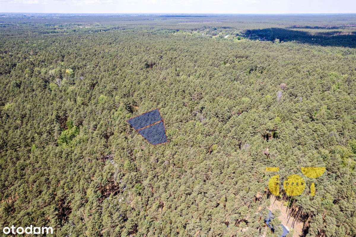 Działka w Wildze - rodzinny azyl z dala od miasta - Pełny obrazek: 4/11