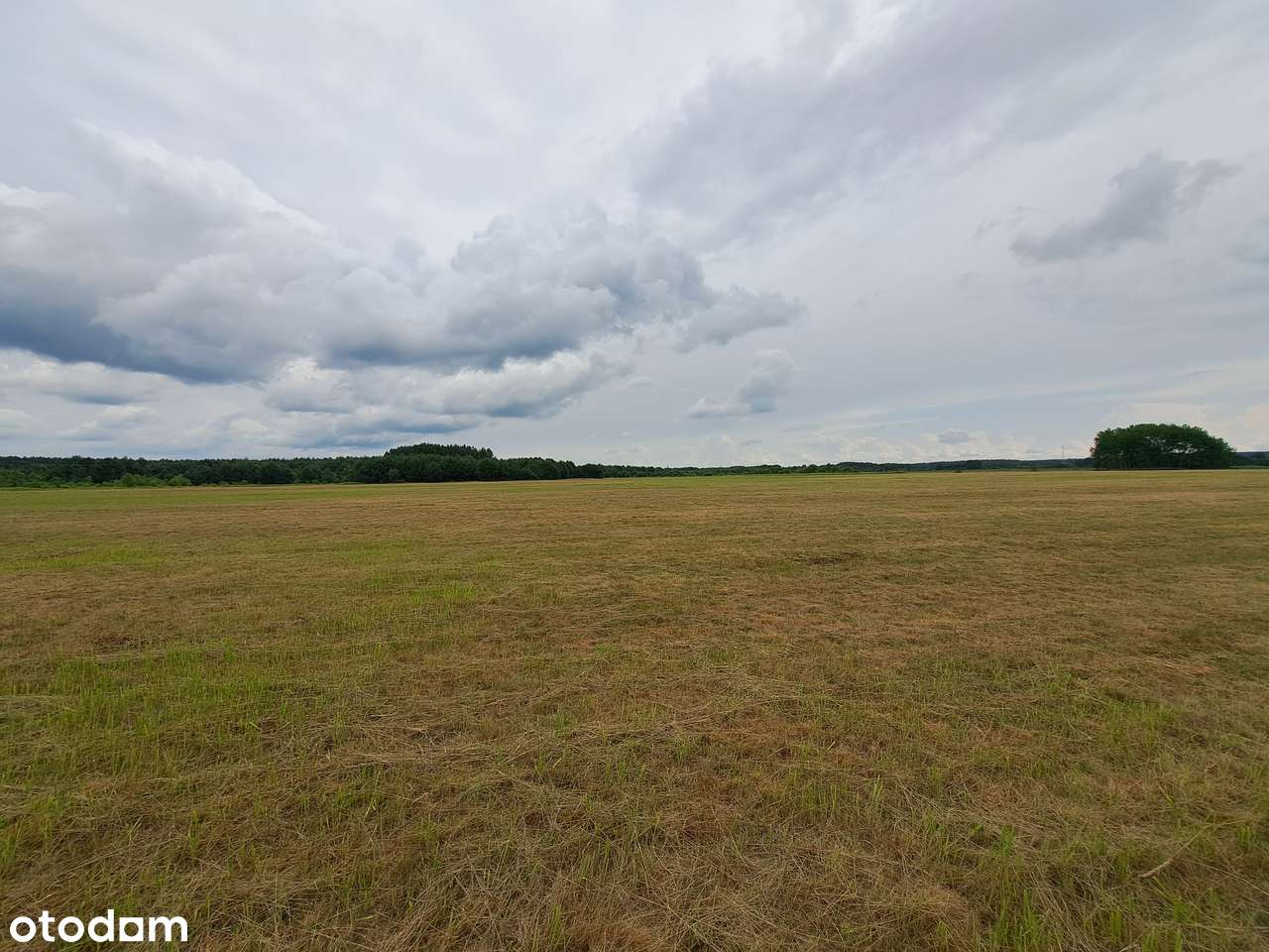 Twoja inwestycja pod Wrocławiem – 21 działek w Złotowie - Pełny obrazek: 4/11