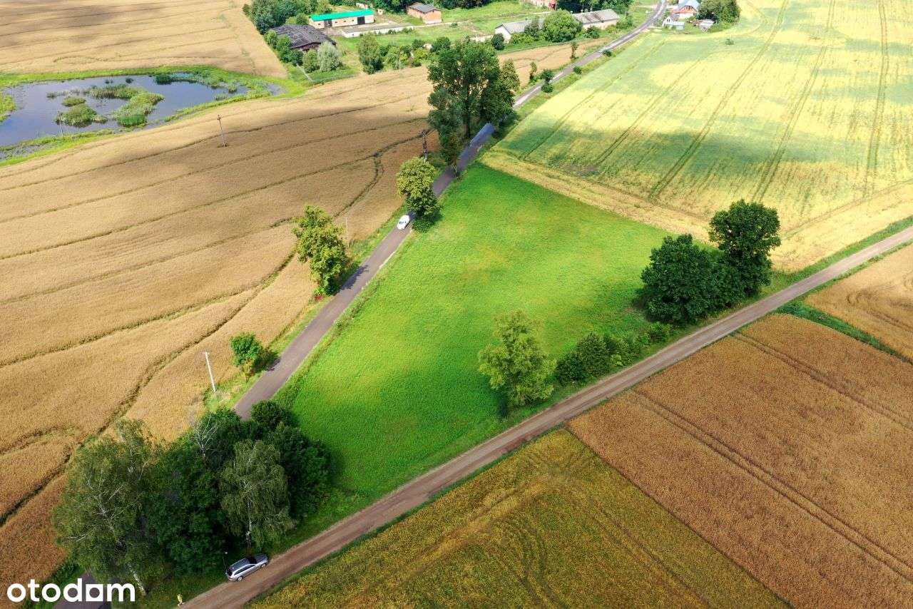 Duża działka - 60 ar-4