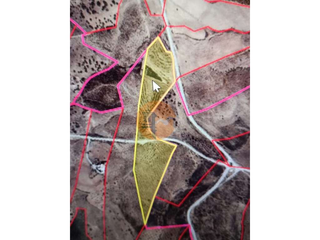 TERRENO COM 53.520 M2 - VISTA MAR - COM LAGO - POSSIBILIDADE DE CON... - Grande imagem: 2/60