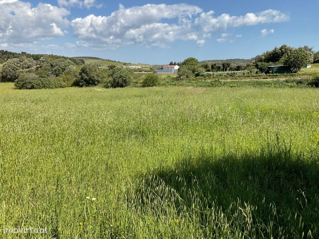 Terreno com uma casa e parcela agrícola situado no Cotifo...