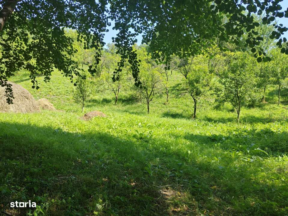 Teren intravilan 1035 mp cu parau, Breaza, Prahova - Imagine principală: 1/6