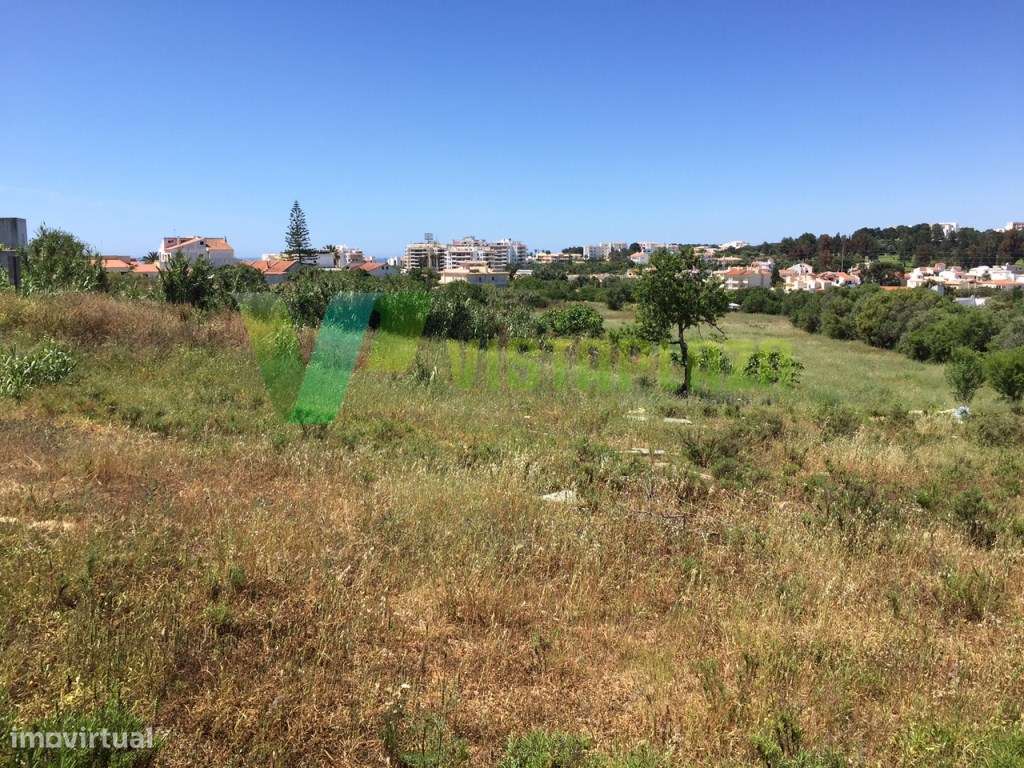 Terreno Vale França, 13680m2 de Área. Para Construção de uma Moradi... - Grande imagem: 2/3