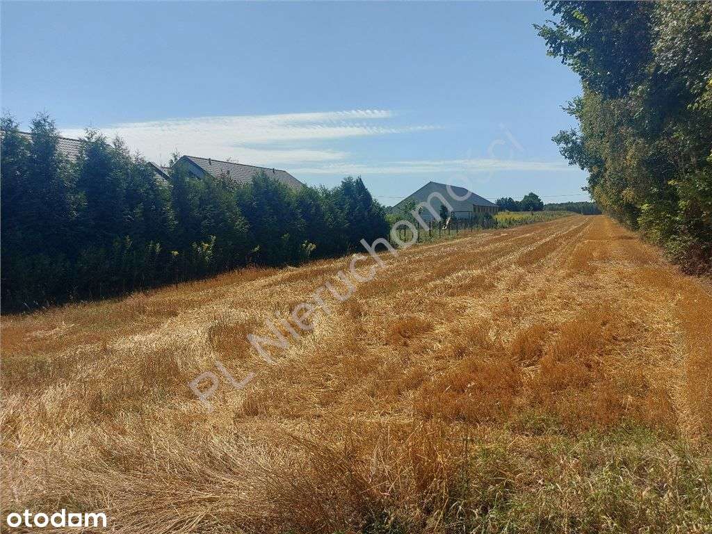 Działka w Zamieniu-dobry dojazd - Pełny obrazek: 4/9